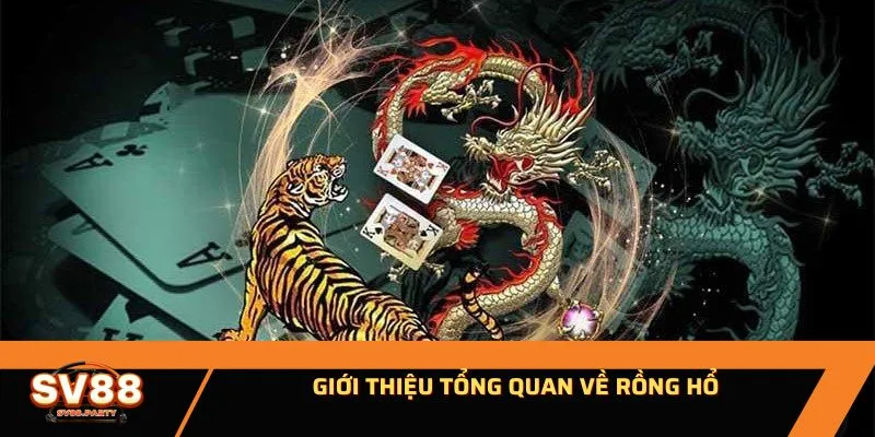 Giới thiệu tổng quan về Rồng hổ