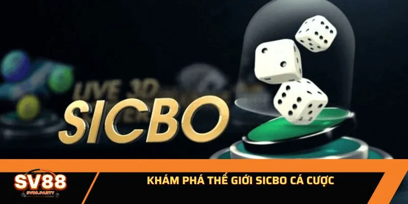 Khám phá thế giới Sicbo cá cược