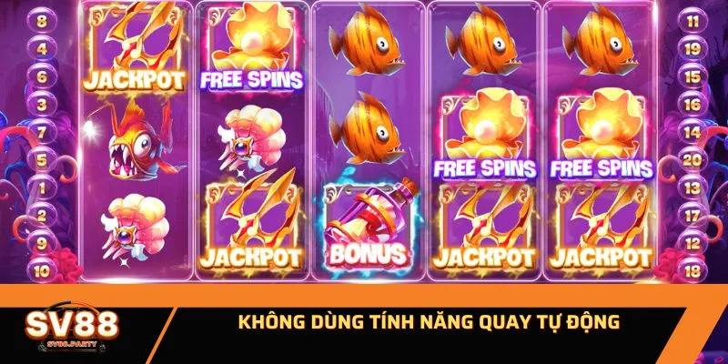 Không dùng tính năng quay tự động