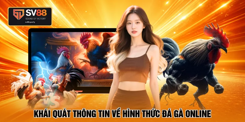 Khái quát thông tin về hình thức đá gà online